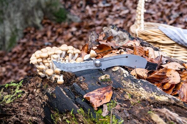 Panoramaknife Pilzmesser Best of Switzerland – Bild 2